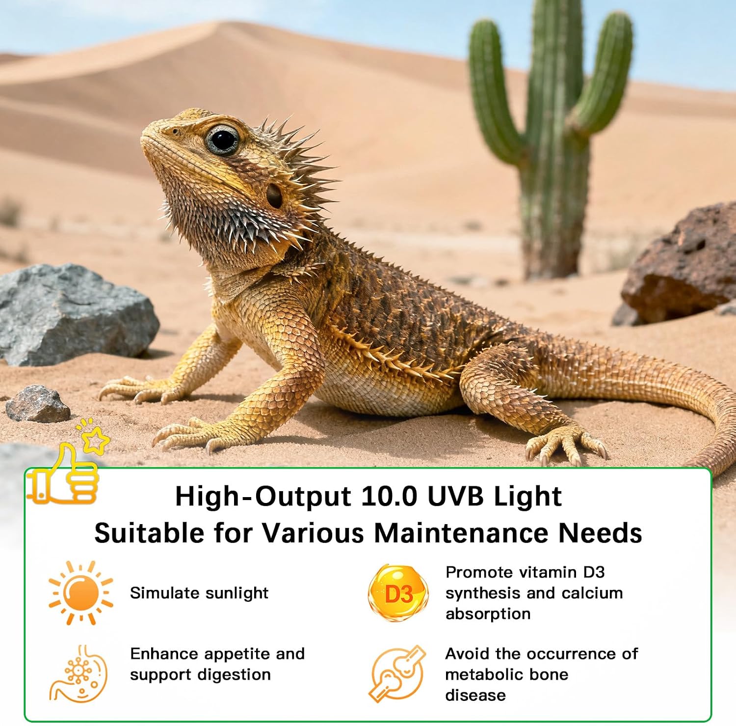 T8 UVB Reptile Light Fixture HO UVB Bulb Lighting Combo Kit, 10.0 UVB Light for Reptiles Terrarium Hood UVA UVB Desert Lamp for Bearded Dragon Turtle Tank (T8 15W 18Inch) - Image 2
