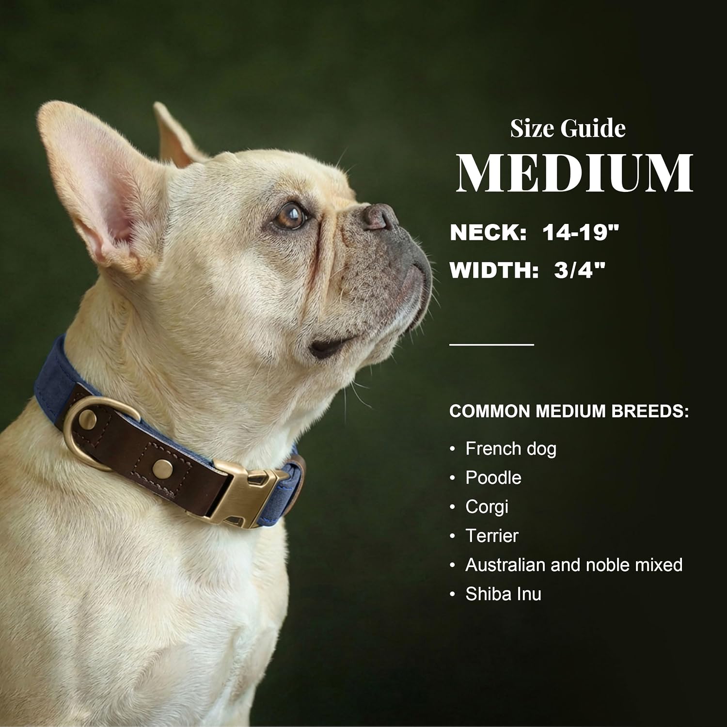 Didog Soft PU Leather Dog Collars for Medium Dogs,Classic Adjustable Dog Collars with Quick Release Metal Buckle,Easy Clean and Comfortable with Nylon Lining,Blue,M Neck 14-19" - Image 3