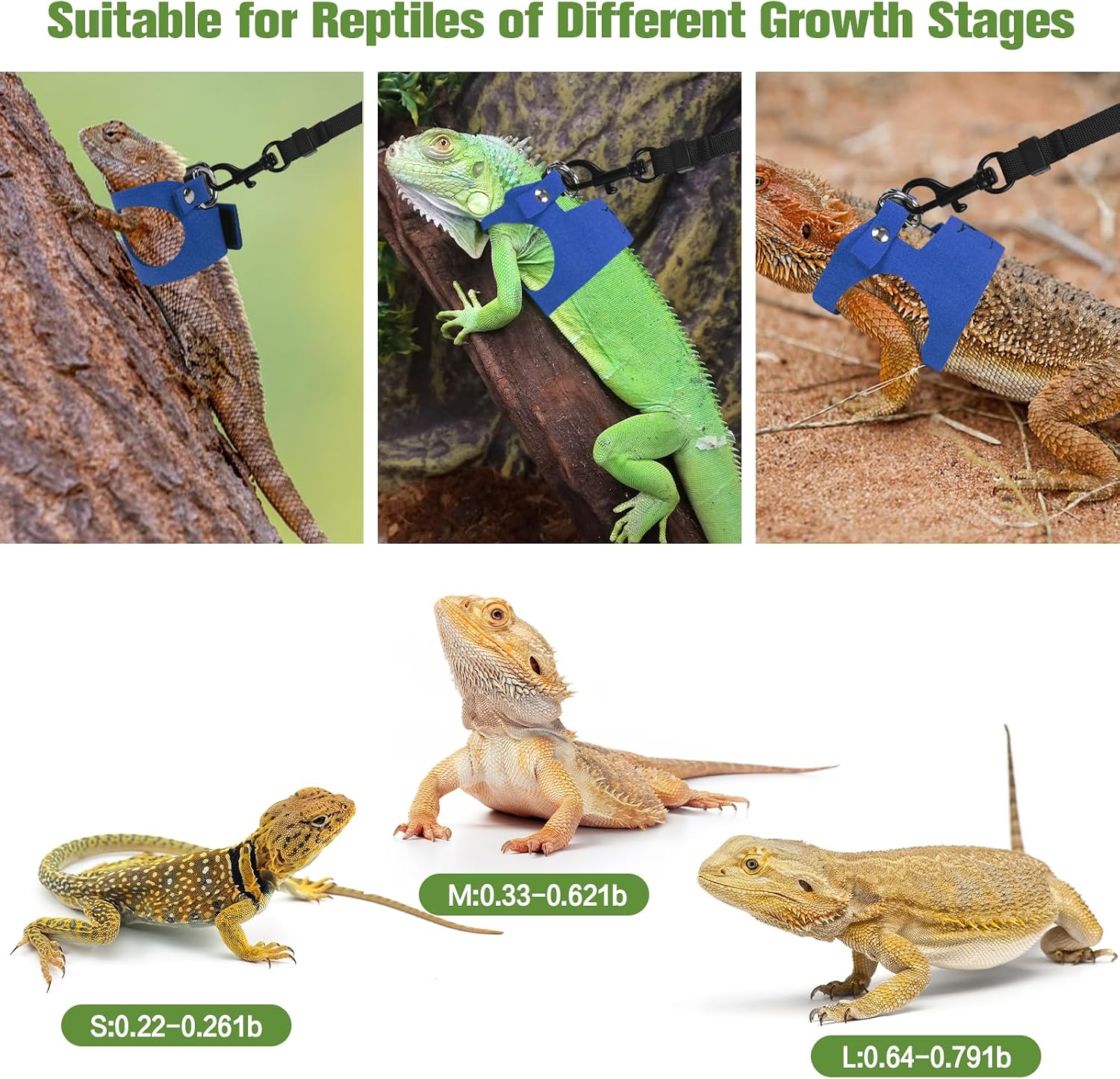 Bearded Dragon Harness Leash Set 3 Size Adjustable Lizards Training Walking Leather Vest Escape-Proof Traction Rope for Outdoor Small Reptiles Animal Squirrels (Blue) - Image 5