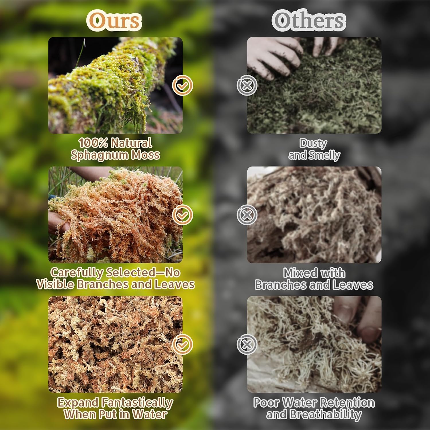 Riare 50QT Natural Sphagnum Moss for Reptiles 2.2LB Terrarium Reptiles Moss | Dried Terrarium Moss Bedding for Snakes Turtles Frogs Geckos Ball Pythons Lepard Gecko Lizards Bearded Dragon & Humid Hides - Image 4