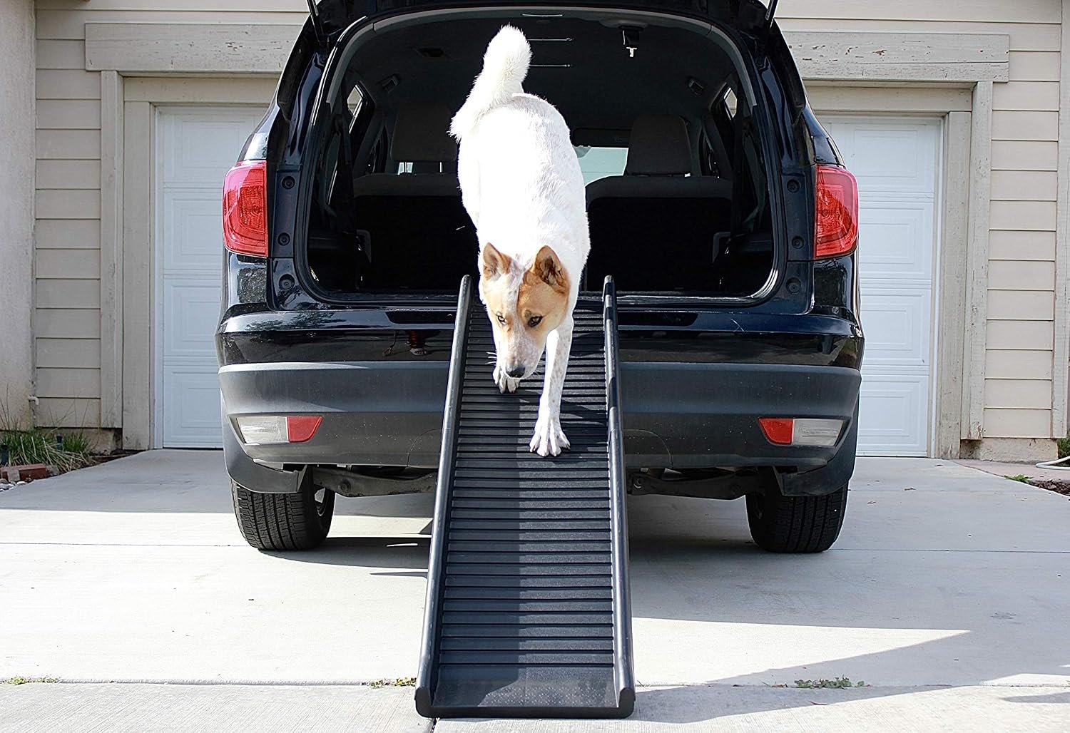 PawStep 61" Folding Pet Ramp, Portable Dog Ramp for Cars, SUVs, Beds & Couches, Lightweight PP Construction, Textured Surface, Optional Carpet for Added Traction, 165 lb Capacity (50524) - Image 7
