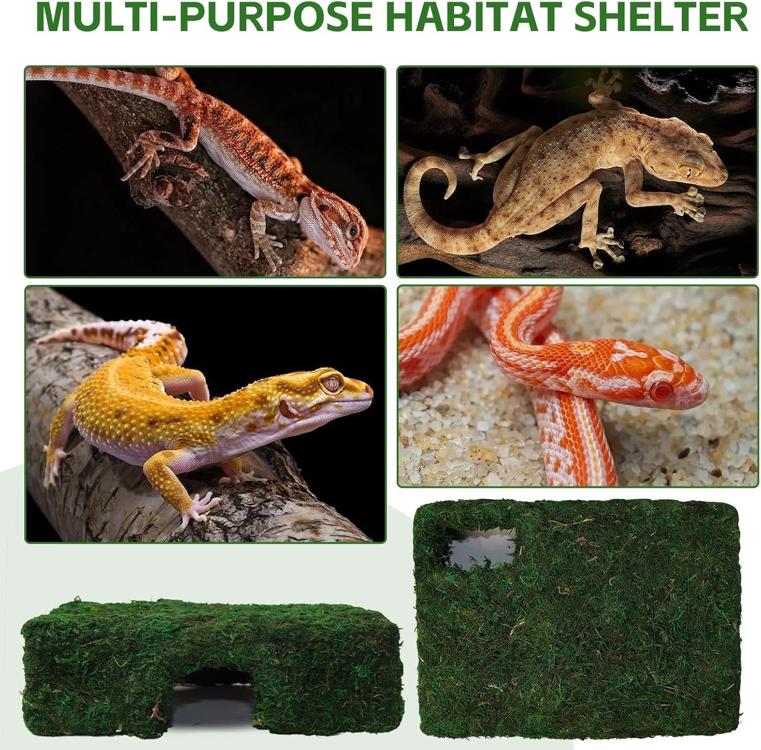 M Size Green Moss Reptile Cave, Safe Hide for Snakes & Geckos | Handmade Snake Cave Hideout Hut for Themed Terrarium Ideal for Gecko Hamster Snake Rest & Hide - Image 7