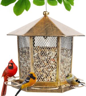 Hexagonal Gazebo Bird Feeders, Weat...