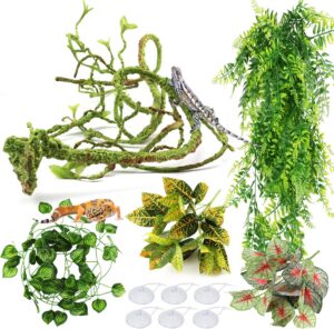 Reptile Plants, Terrarium Hanging P...