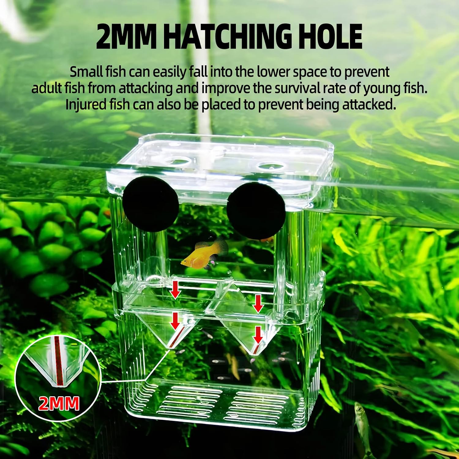 Boxtech Aquarium Fish Tank Hatchery Incubator Breeding Box, Acrylic White Breeder Isolation Divider Hatching Boxes Accessory Small Baby Fishes Shrimp Clownfish Guppy - Image 2