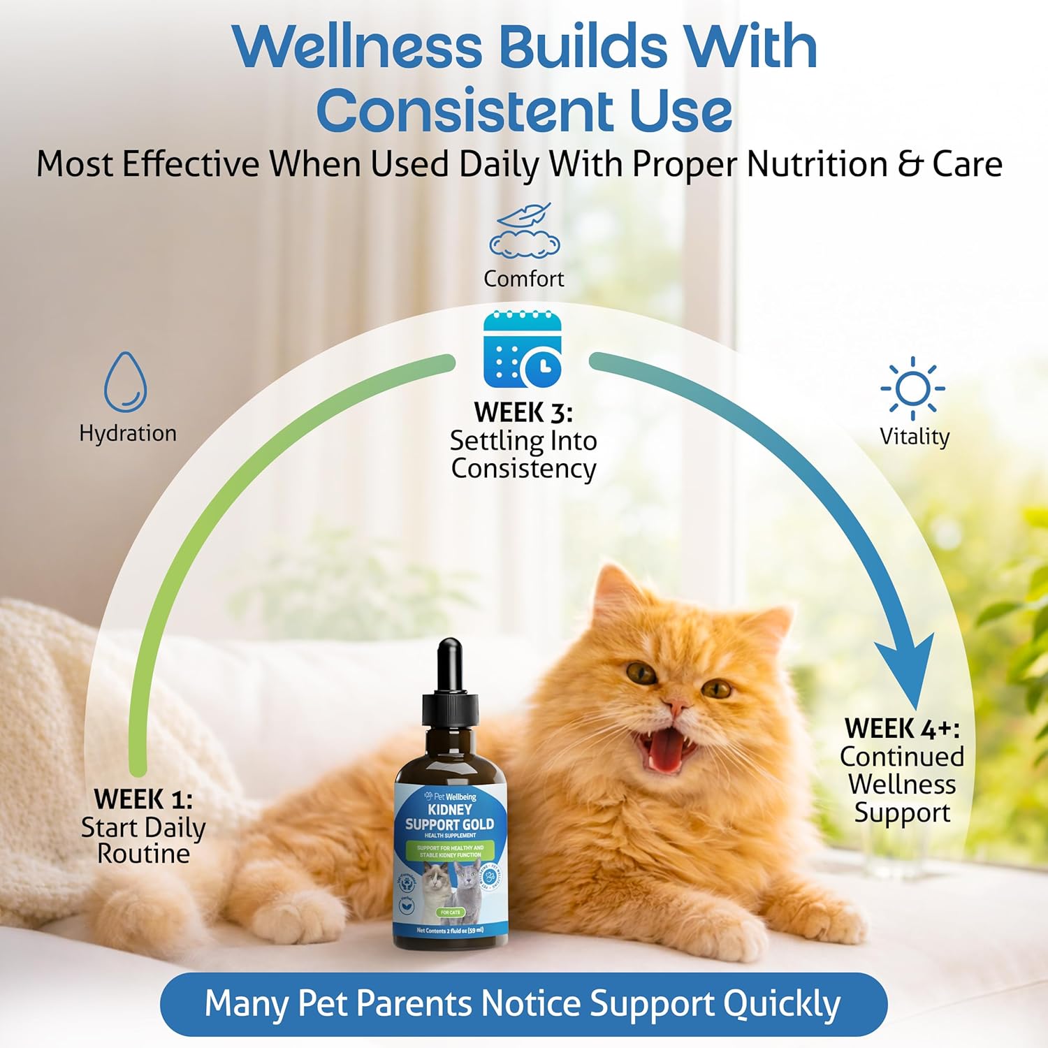 Pet Wellbeing Kidney Support Gold for Cats - Supports Normal Kidney Function & Detox, Healthy Hydration & Energy with Rehmannia & Dong Quai - NASC Certified & Vet-Formulated - 2oz Liquid Formula - Image 6