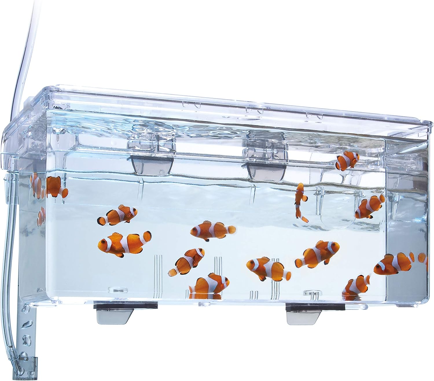 Fluval Multi-Chamber Holding and Breeding Box, Large – Up To 3 Separate Housing Compartments - Image 3