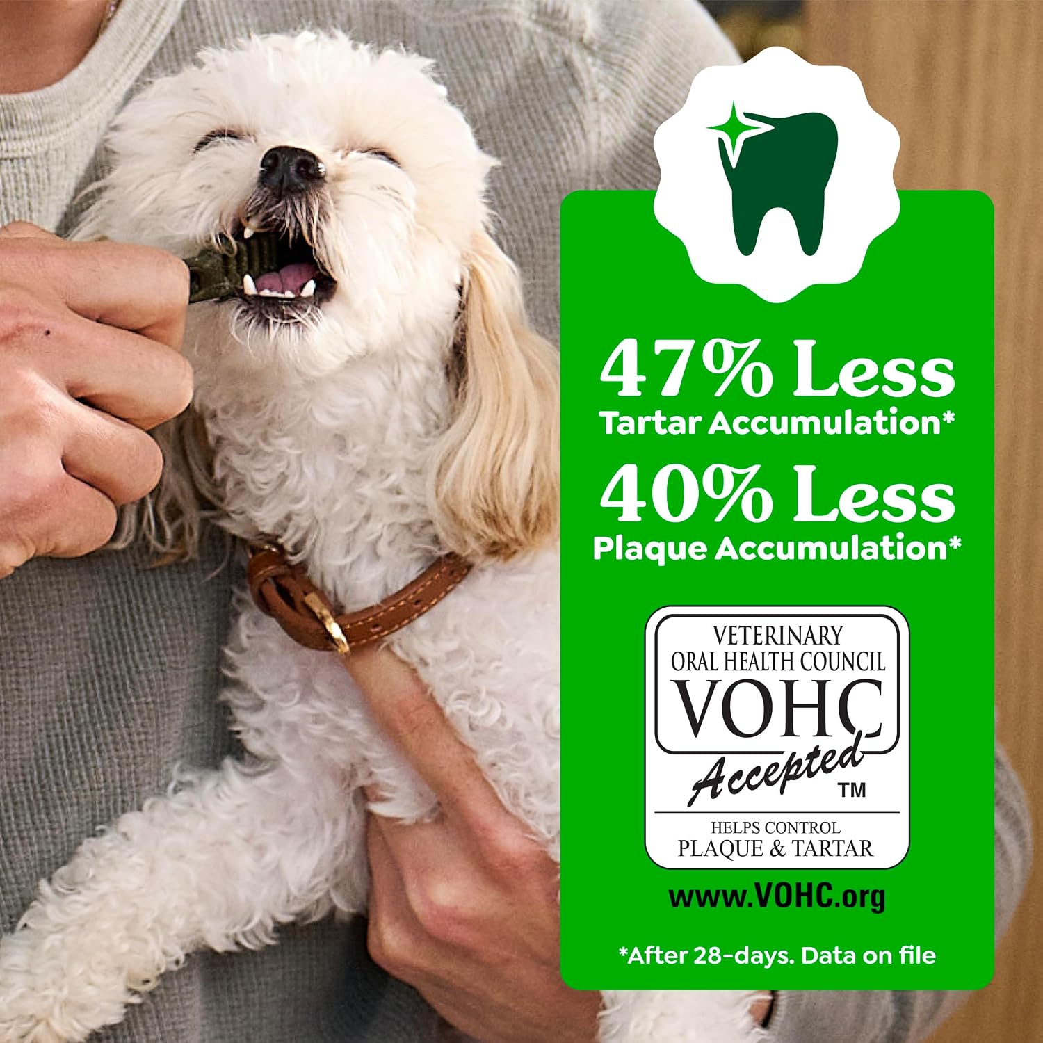 Greenies Teenie Original Natural Dental Dog Treats, Chicken, 43 Count | Clinically-proven, veterinarian-recommended, 47% less tartar & 40% less plaque in 28 days, for dogs 5-15 lbs, 12 oz. Pack - Image 6