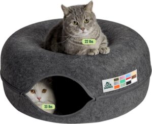 Cattasaurus Peekaboo Cat Cave for M...