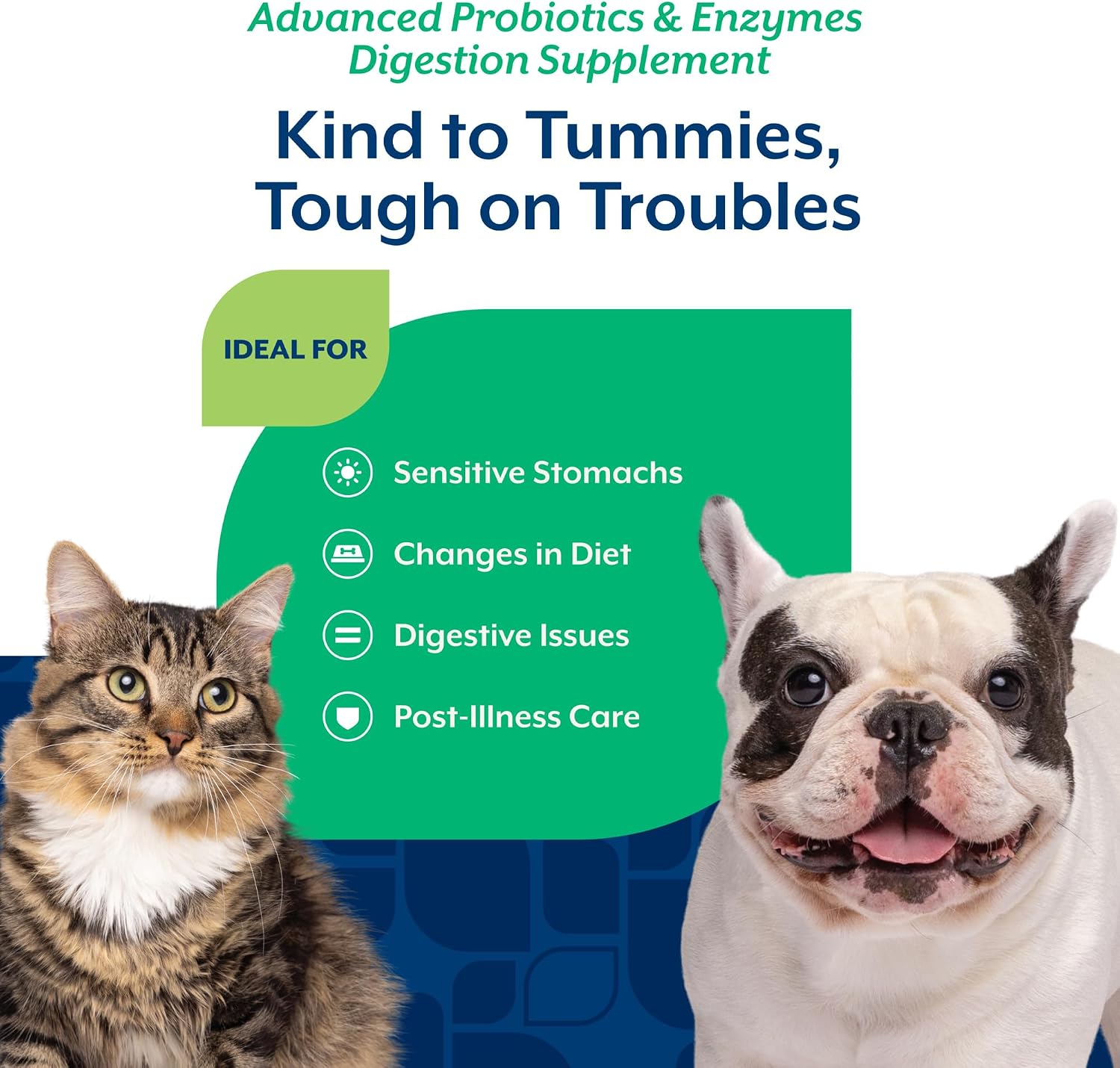 NaturVet – Advanced Probiotics & Enzymes - Plus Vet Strength PB6 Probiotic | Supports and Balances Pets with Sensitive Stomachs & Digestive Issues | for Dogs & Cats (4 oz) | Vet Strength PB6 Probiotic - Supports & Balances the GI Tract for Sensitive Stomachs, Powder - Image 4
