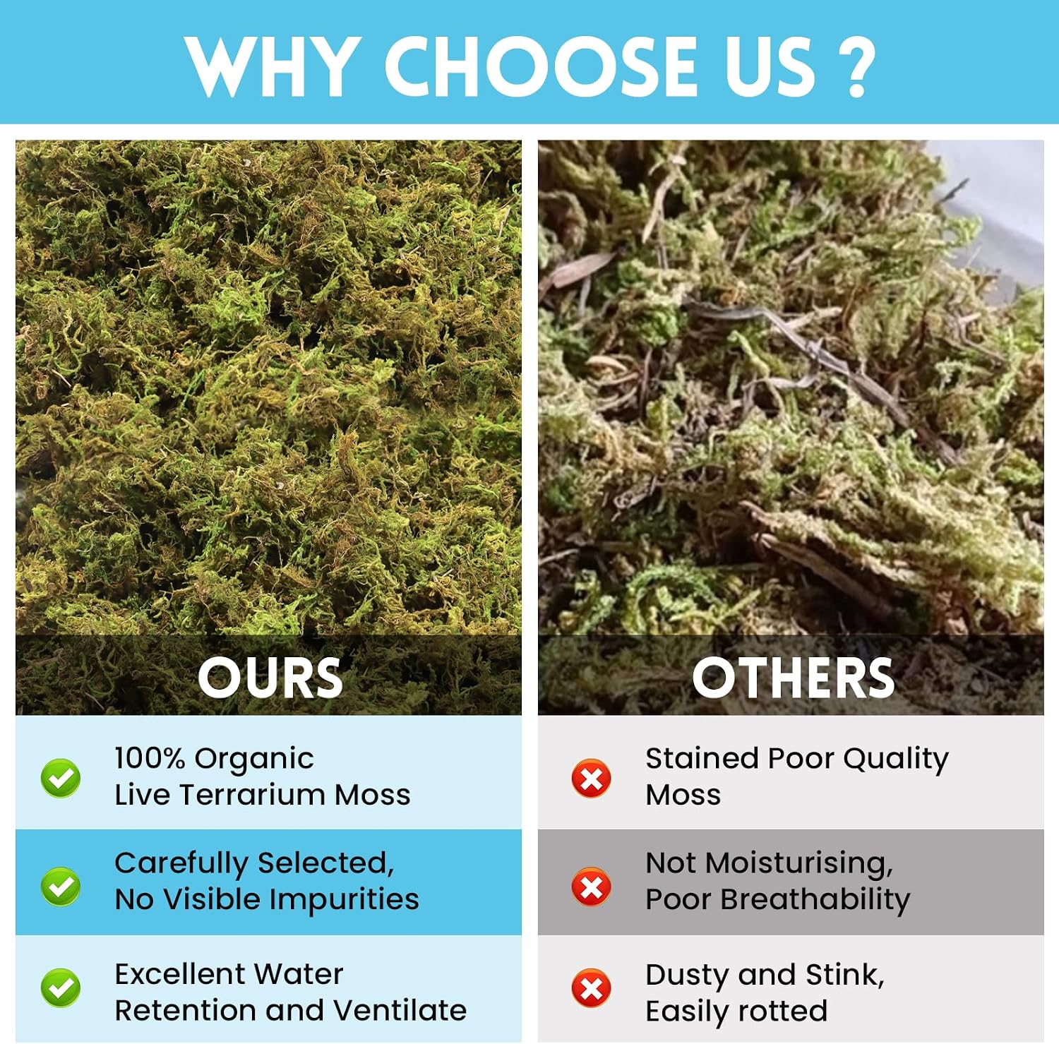 Riare 7 OZ Natural Sphagnum Moss for Reptiles, Terrarium Substrate Bedding | 6QT High Expansion, Moisture Retention, Helps Shedding, Long Fibered Dried Moss for Leopard Gecko, Snake, Frog, Turtle - Image 5