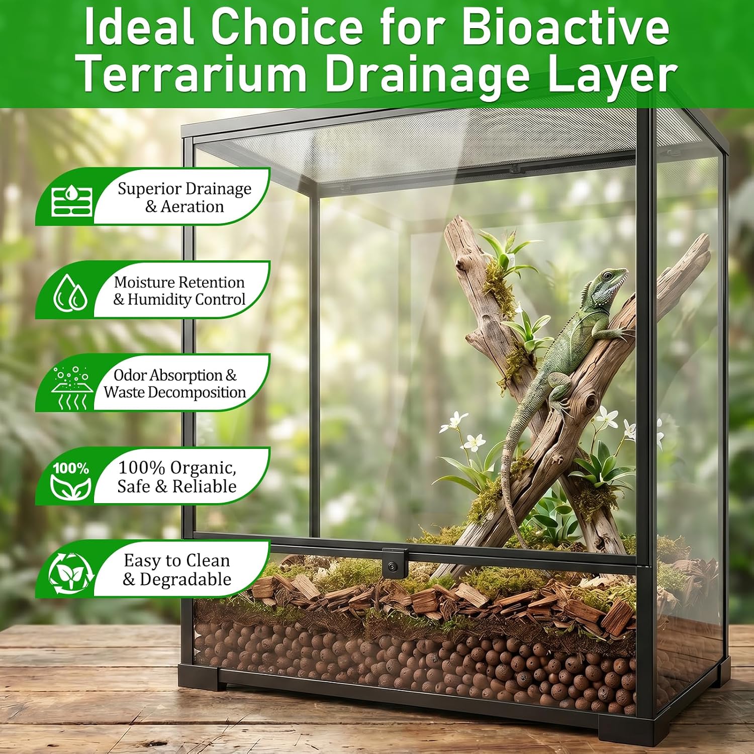 Riare 2LBS Expanded Clay Balls Terrarium Substrate for Reptiles - 100% Organic Lightweight Clay Pebbles Substrate Frogs False Bottom Substrate, Bioactive Terrarium Substrate for Drainage and Moisture - Image 4