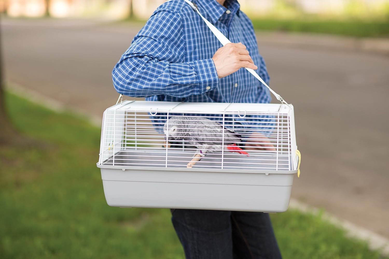 Prevue Pet Products Small Animal Travel Carrier - Hamster, Bird, Parakeet, Gerbil, Rabbit, Ferret, Guinea Pig, & Rat Carrier, Easy Pet Transportation, Travel Bird Cage, Lightweight & Portable - Gray - Image 3