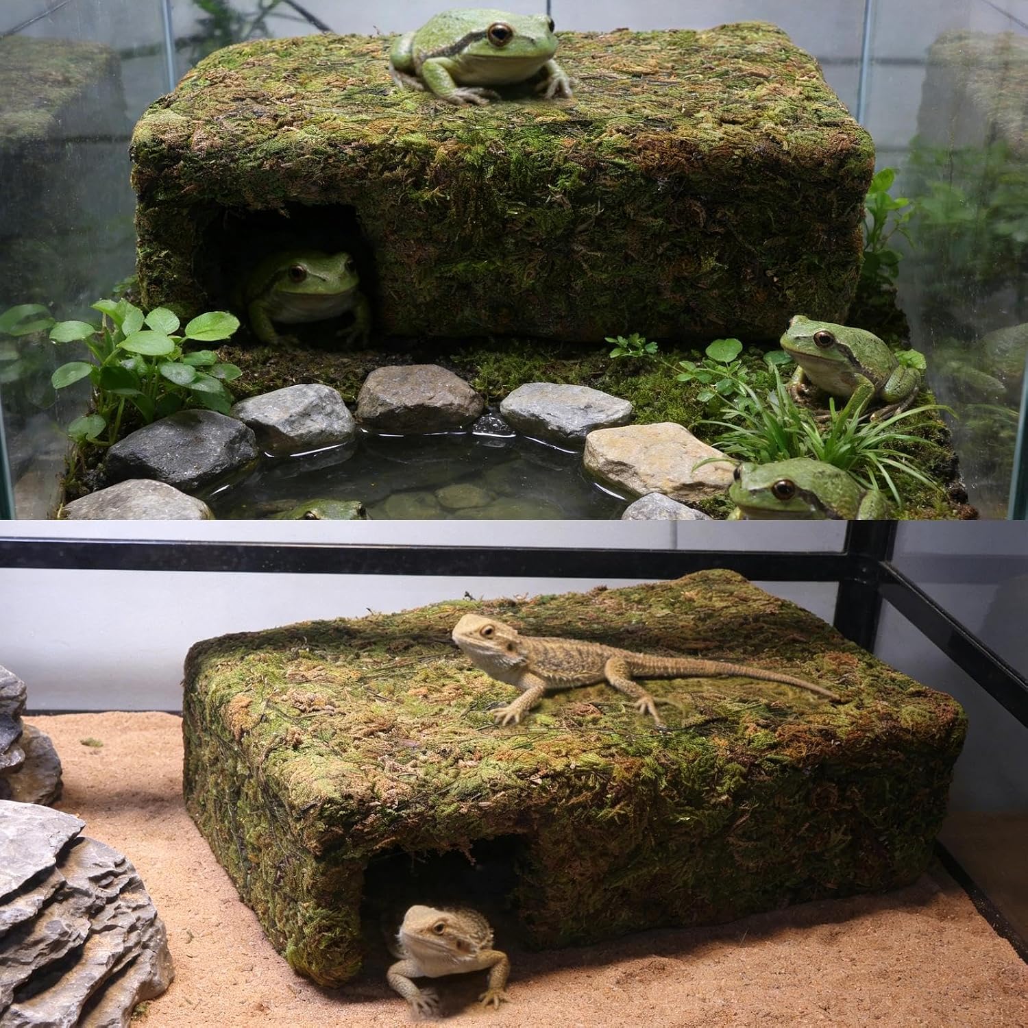 Yellow Mossy Cave Hide for Reptiles, Lizard Gecko Snake Shelter Hut | Yellow Color Lizard Moss Hideout, Snake Cave Hut, for Themed Terrarium Ideal for Gecko Hamster Snake to Rest & Hide - Image 7