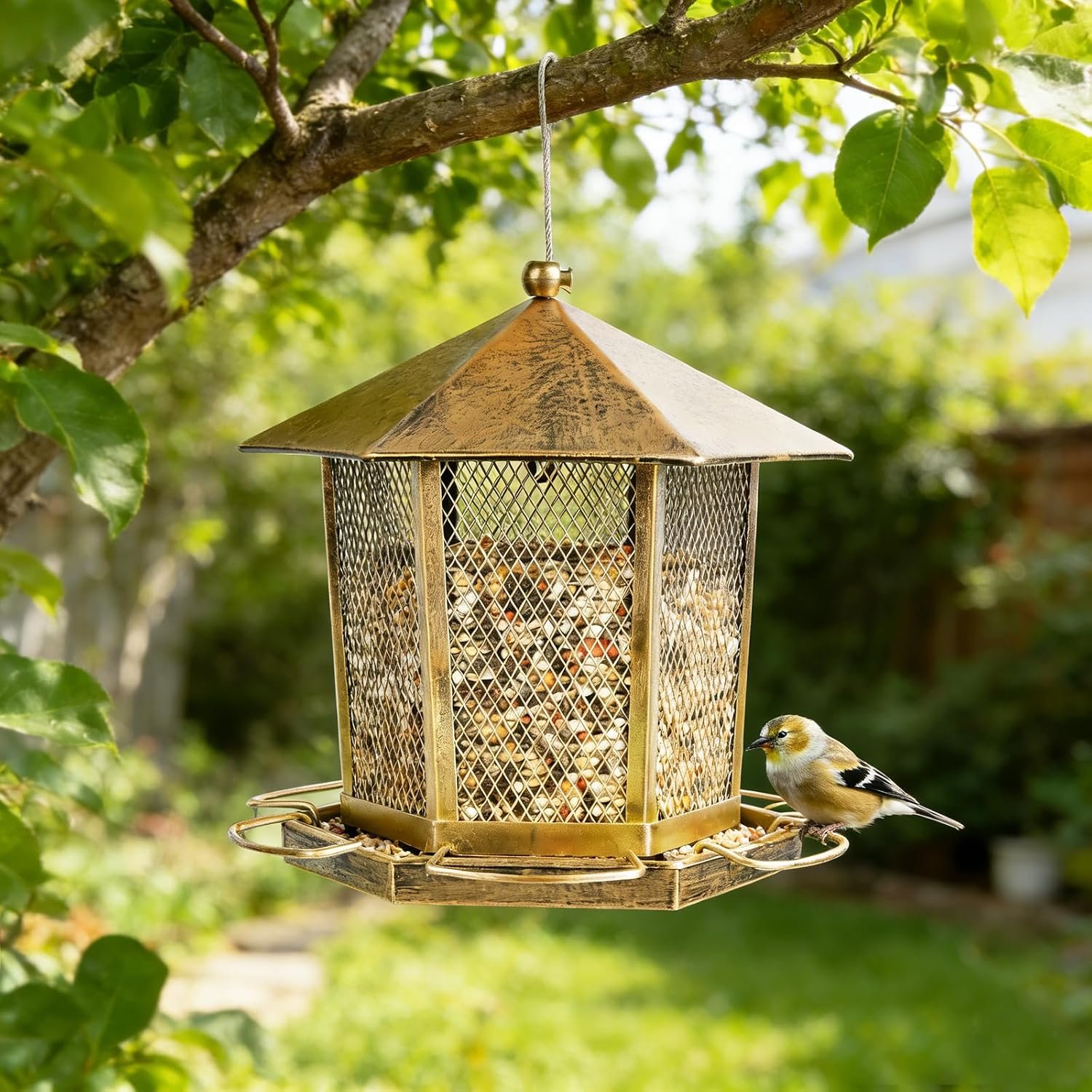 Hexagonal Gazebo Bird Feeders, Weatherproof Wild Bird Feeder for Outdoor | Unique Pavilion Style Metal Bird Feeder for Outside Hanging Garden Patio Backyard Lawn Decor - Image 5