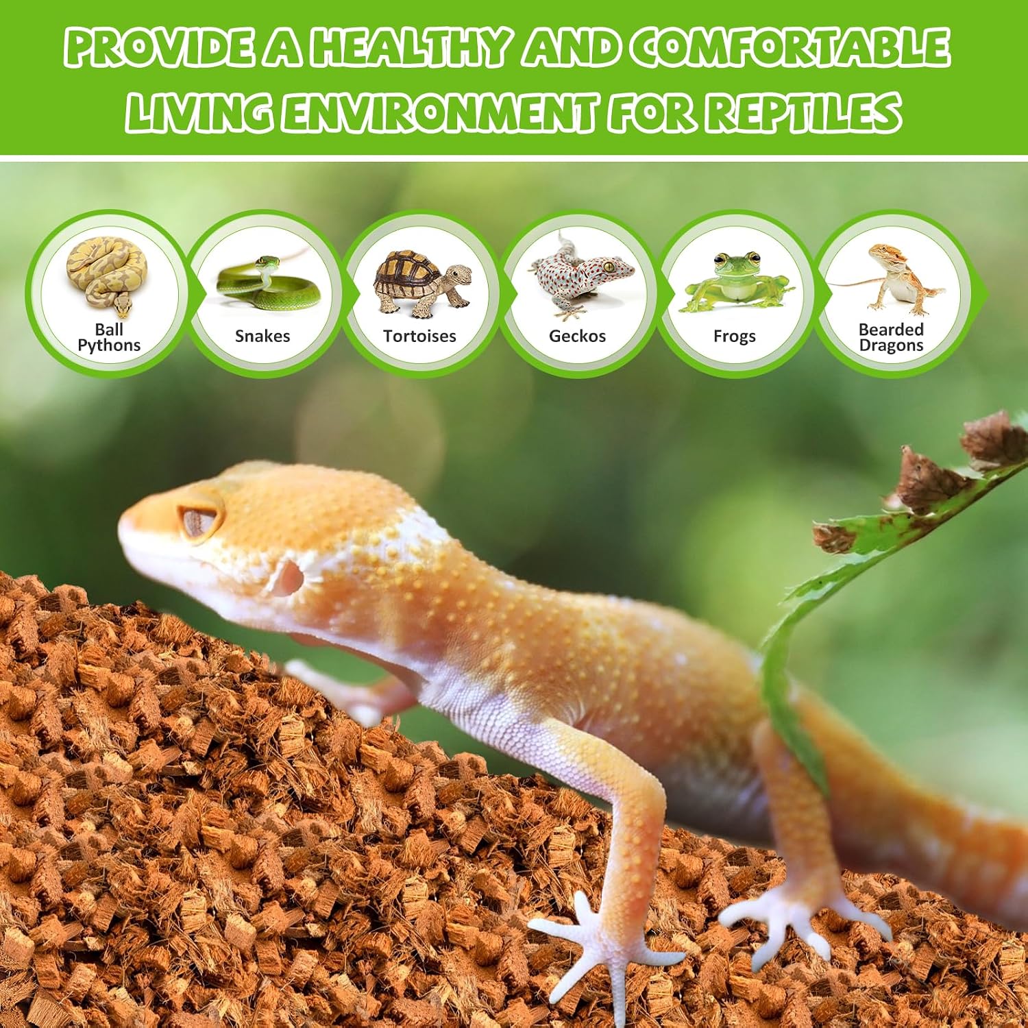 Legigo 4 Pack Coconut Chip Substrate for Reptiles, Natural Coco Husk Chip Reptiles Bedding, Compressed Coconut Chip Substrate for Snake, Tortoise, Ball Python, Gecko, Lizard Terrarium Tanks - Image 5