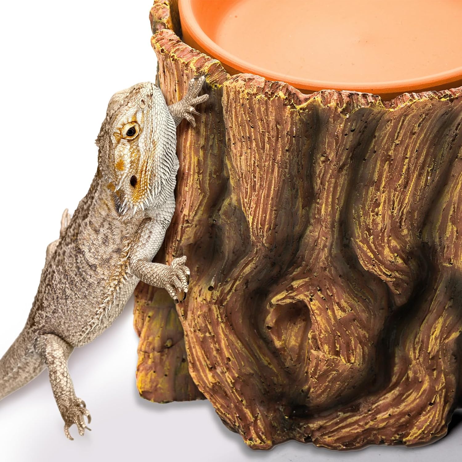 Cididu Reptile Hide Cave Resin, 2 in 1 Reptile Hideout Cave and Food Tray, Reptile Shelter with Detachable Food Bowl, Leopard Gecko Keeper Habitat Help Shedding for Amphibian, Snake, Lizard, Turtle - Image 4