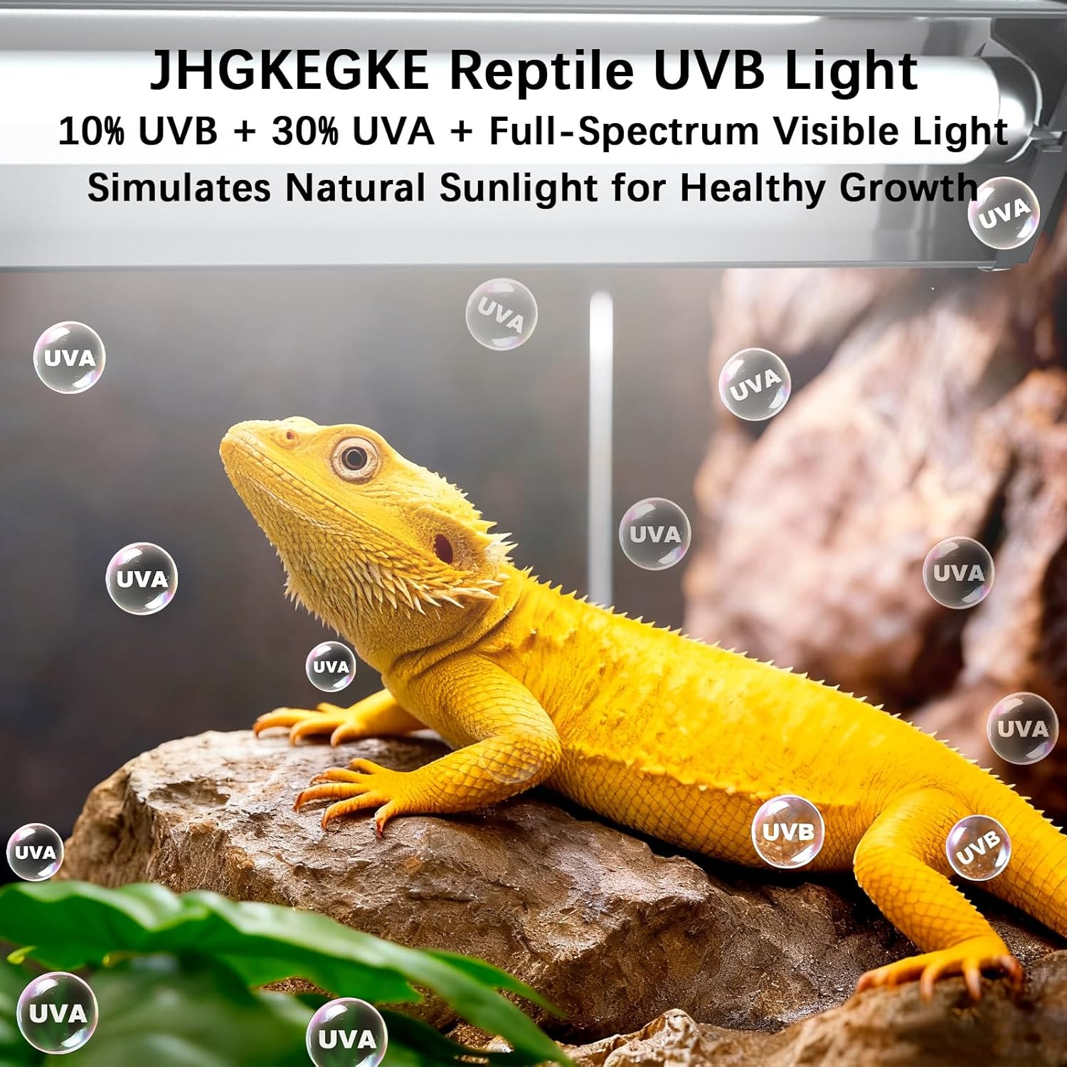 T5 10.0 UVB Reptile Light Fixture Combo Kit, 8W High Output UVA UVB Light with Upgraded Wider Alloy Reflector for Bearded Dragons Lizards Tortoises and Desert or Tropical Reptiles 12.4Inch - Image 2