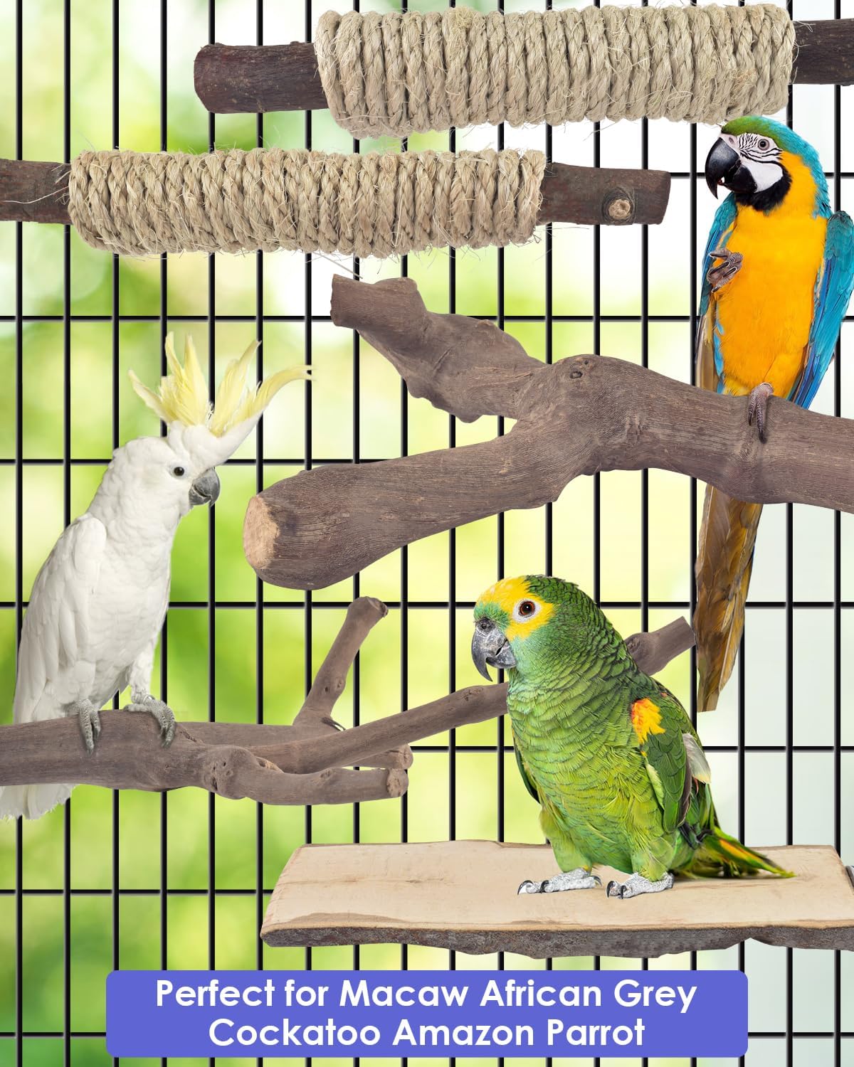 Bissap 5PCS Large Bird Perch Stand, Natural Wood Pole Standing Paw Grinding Fork Parrot Cage Branch with Rope for Macaw African Grey Amazon Pet Medium Large Birds Cage Accessories - Image 7