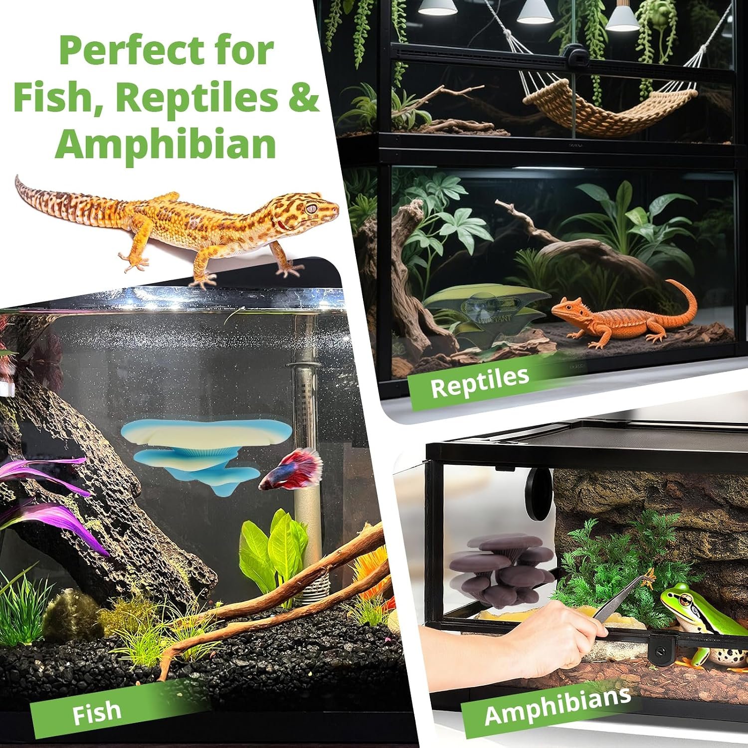 Westant Mushroom Decor for Reptile Tank, Fish Tank, Pet-Safe Bearded Dragon Tank Accessories, Realistic Terrarium Plants for Leopard Geckos, Crested Geckos, Tree Frogs, Snakes (Forest, Trio Cap) - Image 2