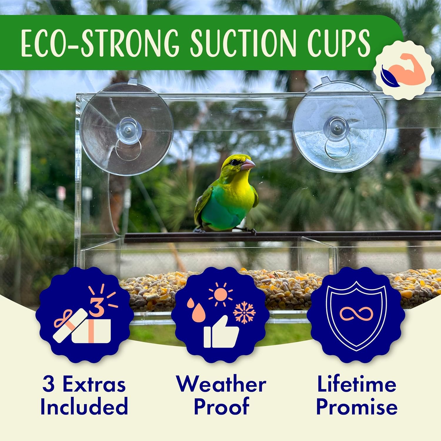 Window Bird Feeder by Nature's Hangout - No Assembly, Strong Suction Cups | Acrylic Bird Feeders for Outside Bird Watching for Cats Easy-to-Clean Birdhouse Bird Feeder for Window Viewing Slide-out Tray - Image 3