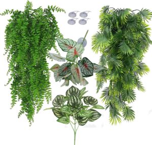 Reptile Plants for Bearded Dragon T...