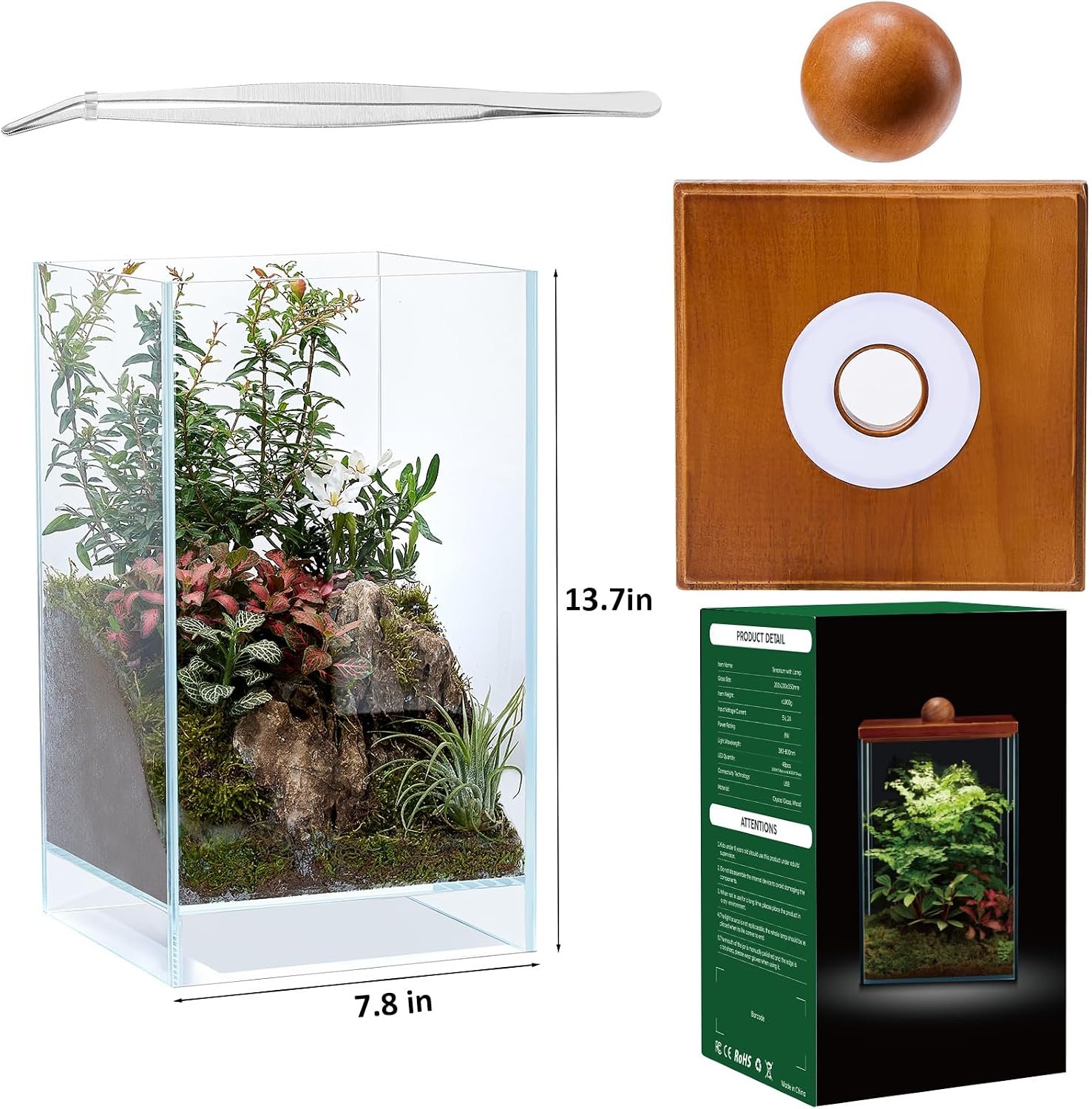 Large Glass Plant Terrarium: 13.7H+7.8W Terrarium with Light | Desktop Propagation Station for Succulent/Moss/Miniature Gardening Landscape/Betta Fish Tank - Image 2