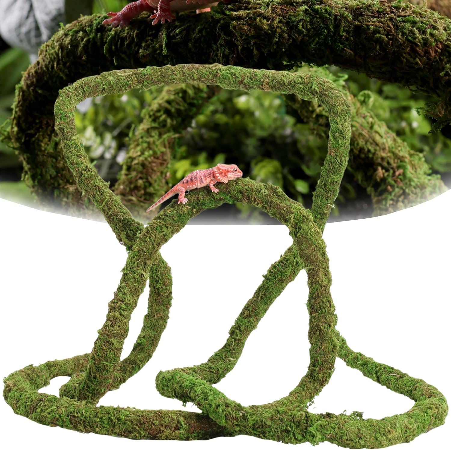 USMOLA Moss Vine for Reptiles, Bend...