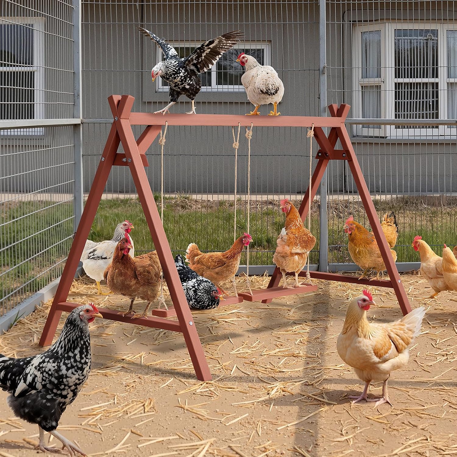 PETSFIT Wooden Solid Chicken Perch & Roosting Bars with 2 Swings, 50"x30"x34" Coop Toy for 6–8 Hens, Multi-Level Stand Encourages Exercise & Natural Behavior, Easy to Assemble & Clean,Outdoor Use - Image 8
