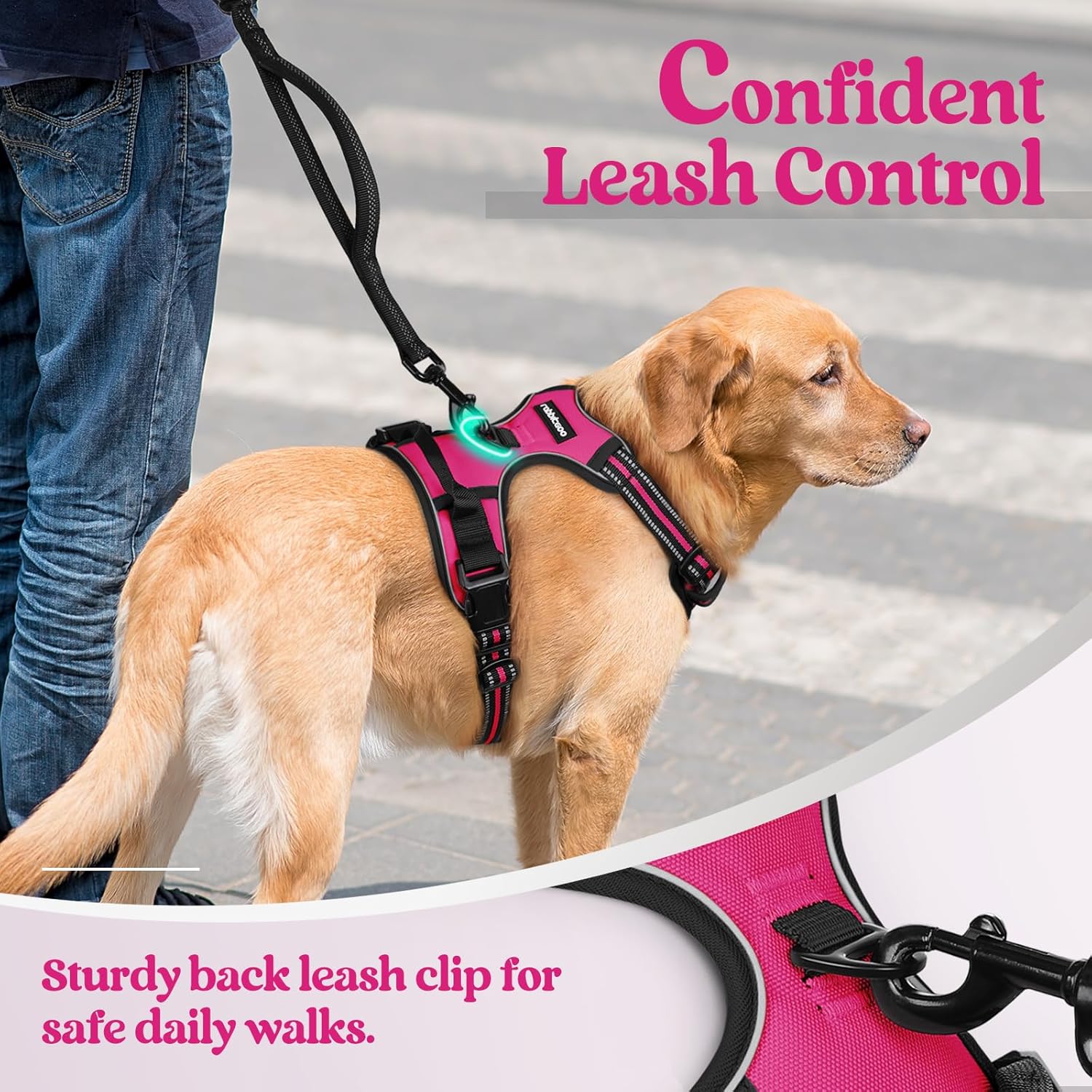 rabbitgoo Dog Harness No Pull with 2 Leash Clips, Adjustable Soft Padded, Reflective Oxford No Choke Pet Vest with Easy Control Handle for Large Dogs, Hot Pink, L - Image 6