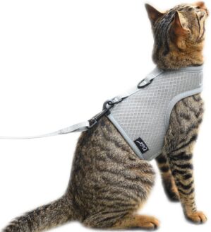 Cat Harness and Leash, Solid Grey, ...