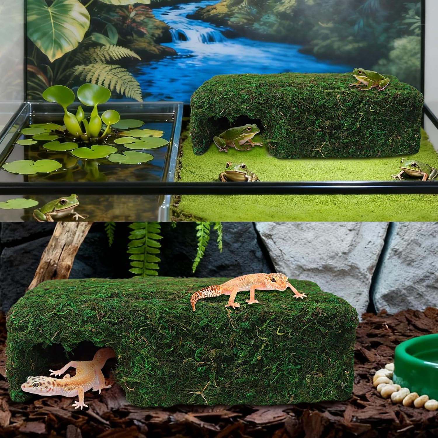 Handmade Reptile Moss Cave M, 9.4" Shelter for Gecko Hamster | Moss reptile cave hide, Smooth edges, no injury, Suitable for humid environments - Image 7