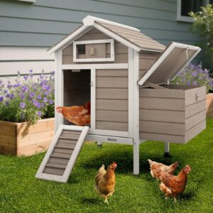 Chicken Coop Chicken House Outdoor ...