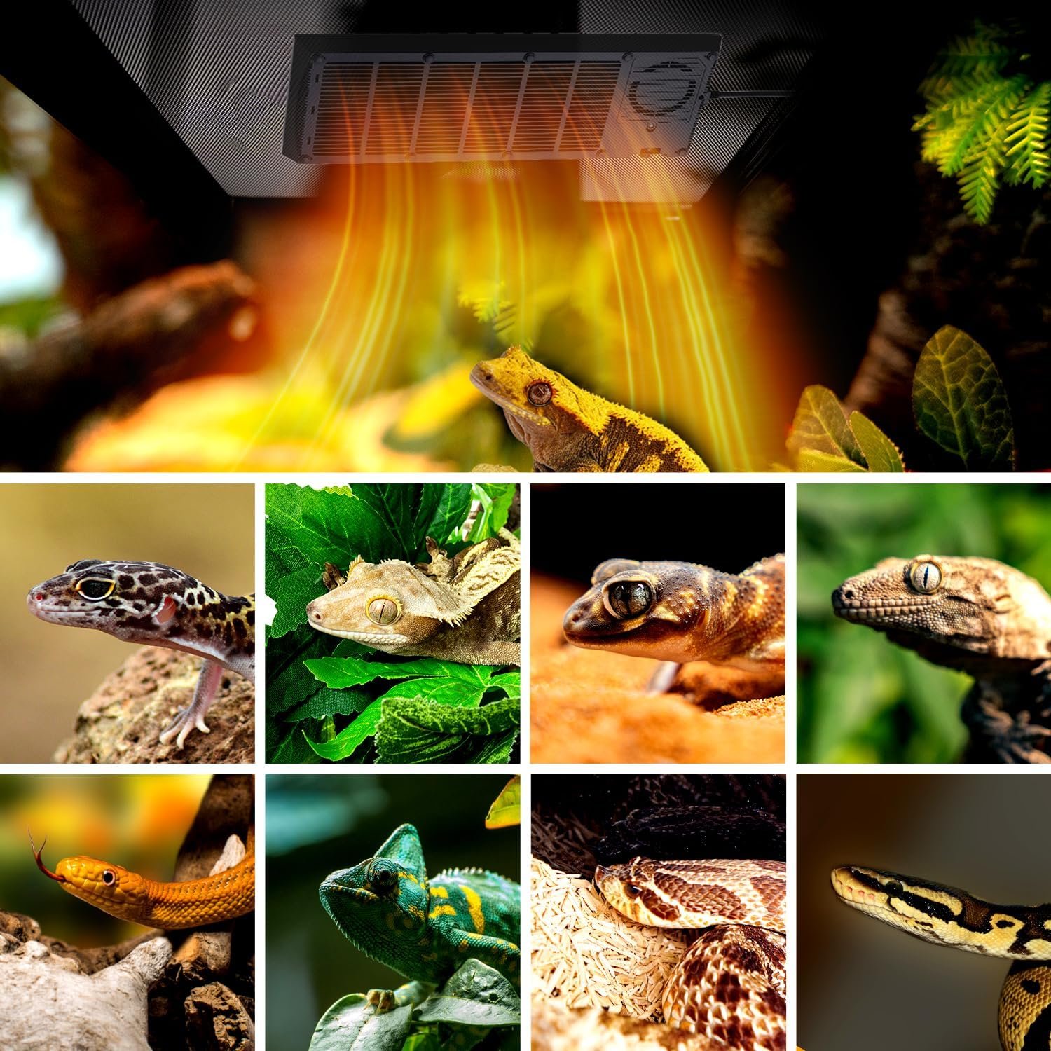 Reptile Heat Panel Adjustable Temperature 60W Reptile Heater for Terrariums, Energy Efficient & Non-Light Reptiles Heating Plate for Snakes,Crested Gecko,Leopard,Turtles - Image 7