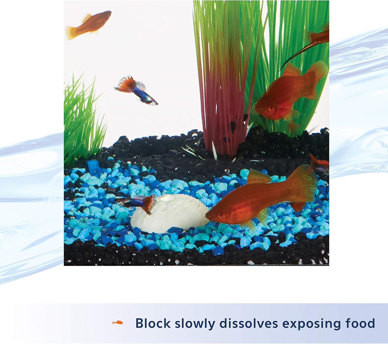 Aqueon 7 Day Vacation Feeder Slow- Release Fish Food for Tropical Fish - 1 Pack - Image 5