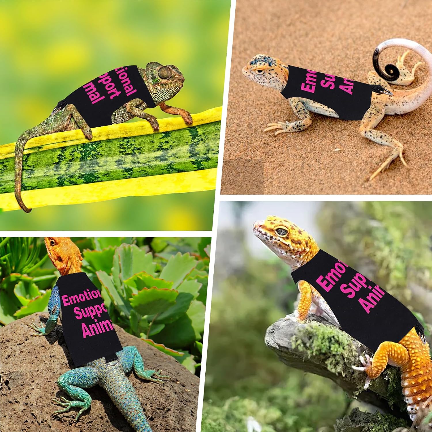Bearded Dragon Harness and Leash Set Adjustable Reptile Lizard Leash Rope Vest Clothes Starter Kit Accessories for Small Animal Outdoor Walking Training - Image 7