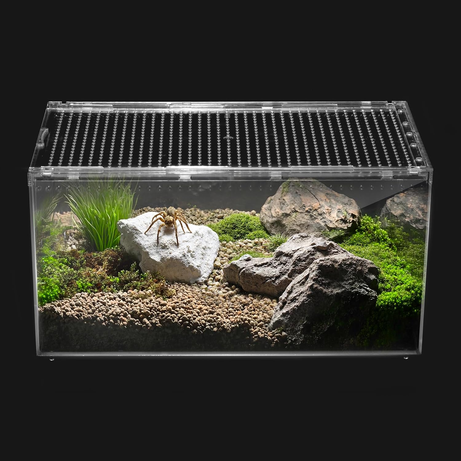 Reptile PC Tank,Escape Proof Magnetic Lid Tarantula Enclosure Small | Easy Clean Seamless Base Hermit Crab Habitat,Stackable Isopod Terrarium,Cross Ventilation Spider Starter Cage,Frog Container