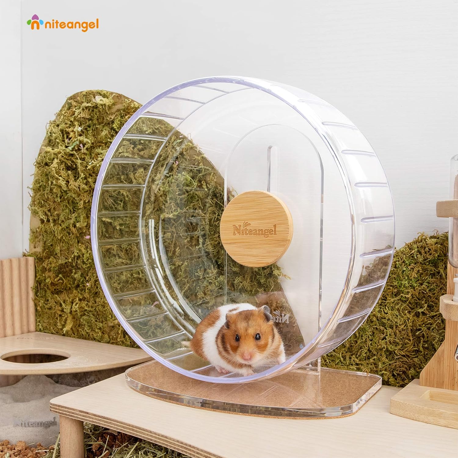 Niteangel Super-Silent Hamster Exercise Wheels - Quiet Spinner Hamster Running Wheels with Adjustable Stand for Hamsters Gerbils Mice Or Other Small Animals (M, Transparent) | Can 10.6-13.4" Adjustable Height - No Bend Back Spinner Running for Dwarf Syrian Hamster Gerbils Mice Or Other Small Animal - Image 3