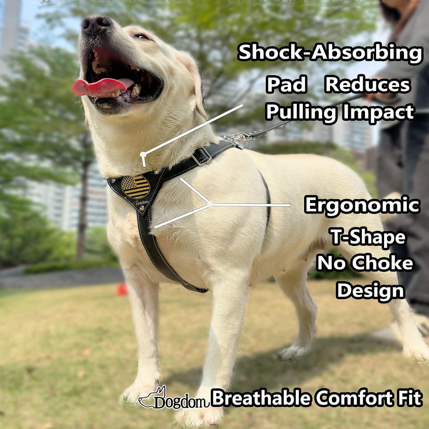 Genuine Leather Dog Harness – Adjustable No Pull Harness with Soft Padded Chest, Heavy Duty Buckle, Brown, Medium Dogs - Image 2