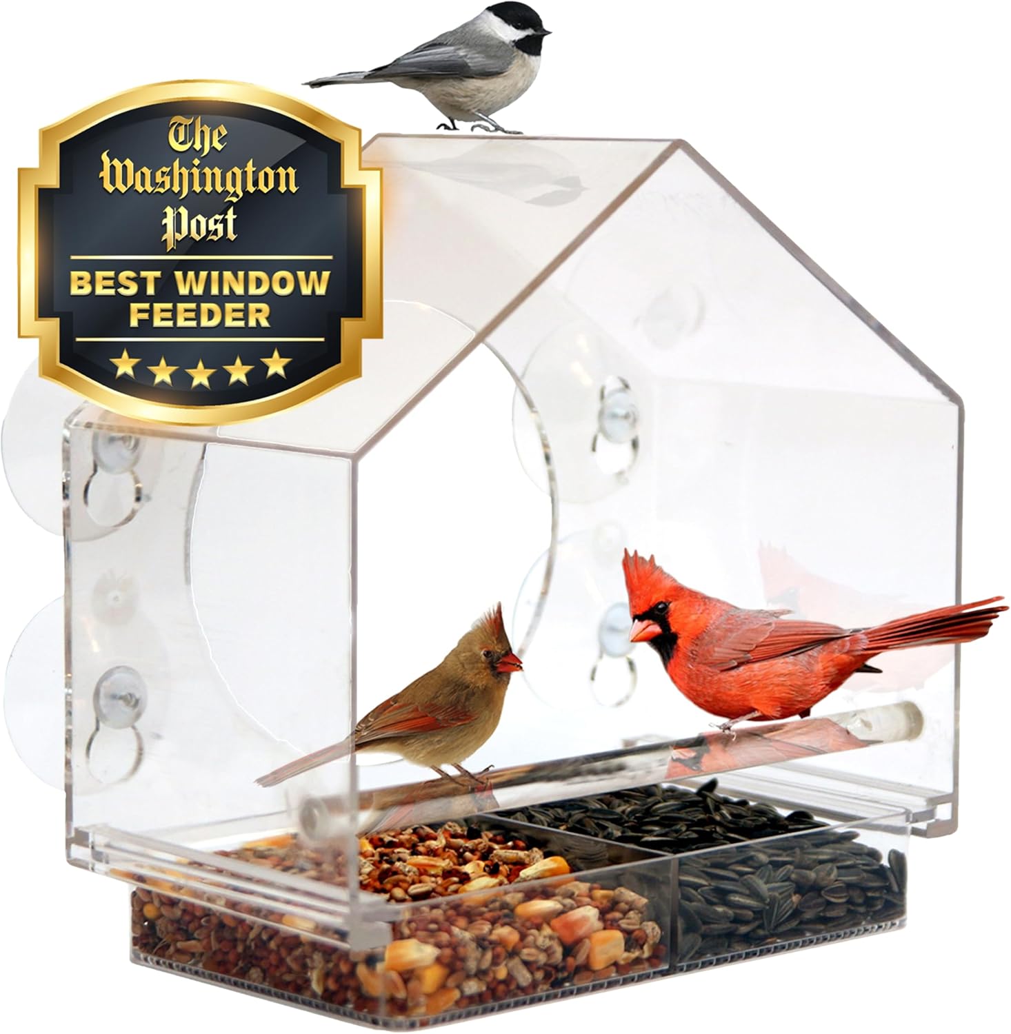 Nature Anywhere Window Bird Feeder - Weather Proof Transparent Acrylic Bird Feeders for Outdoors - Enhanced Suction Grip, Bird Watching for Cats, Easy-to-Clean, Outdoor Birdhouse Feeder (1 Unit)