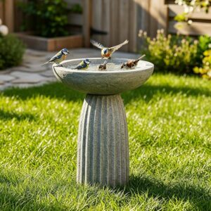 SKYFIRE 24.4″ Pedestal Bird B...