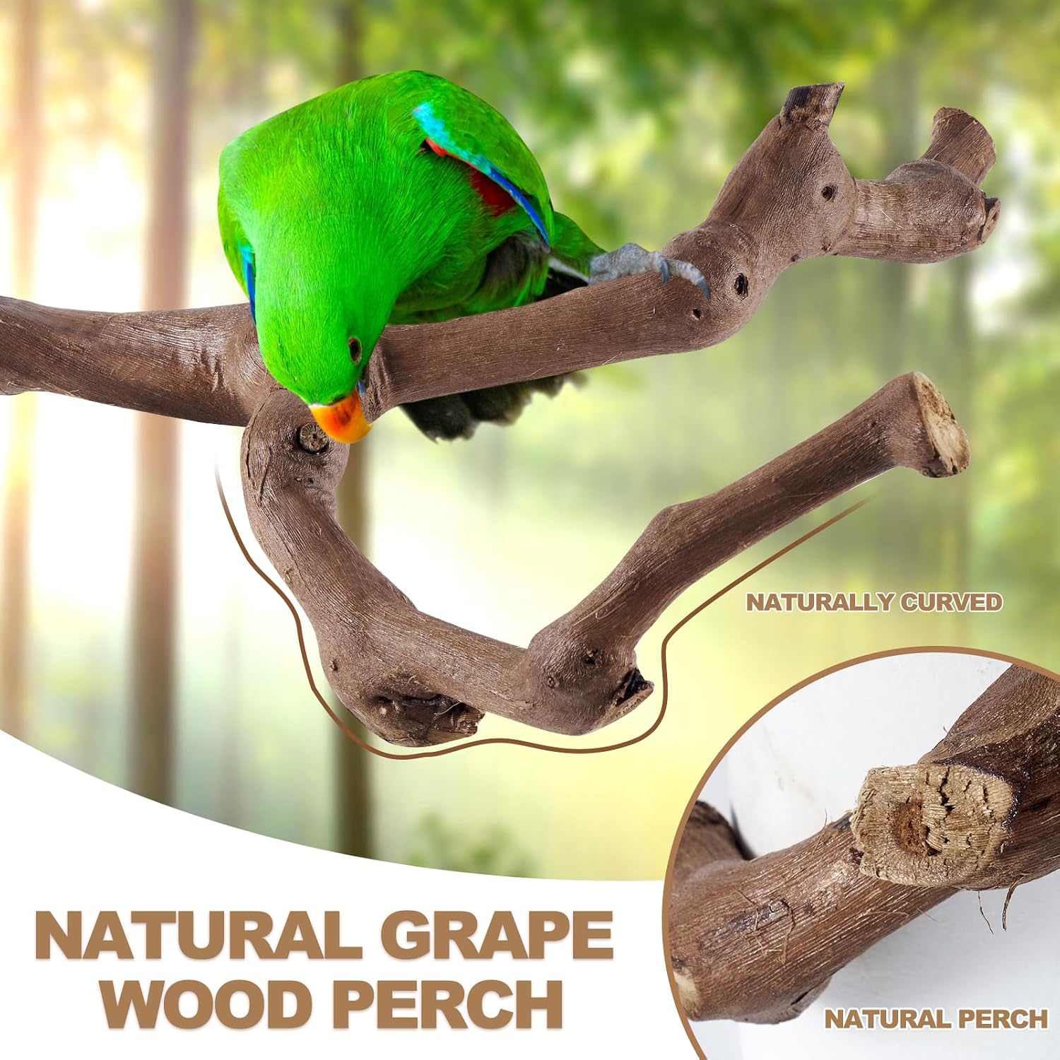 LIMIO 6-Piece Bird Perch Set - Natural Wood Grape Sticks, Paw Grinding Forks, Bird Stand & Toys for Parakeets, Cockatiels, Conure, Budgies - Image 2