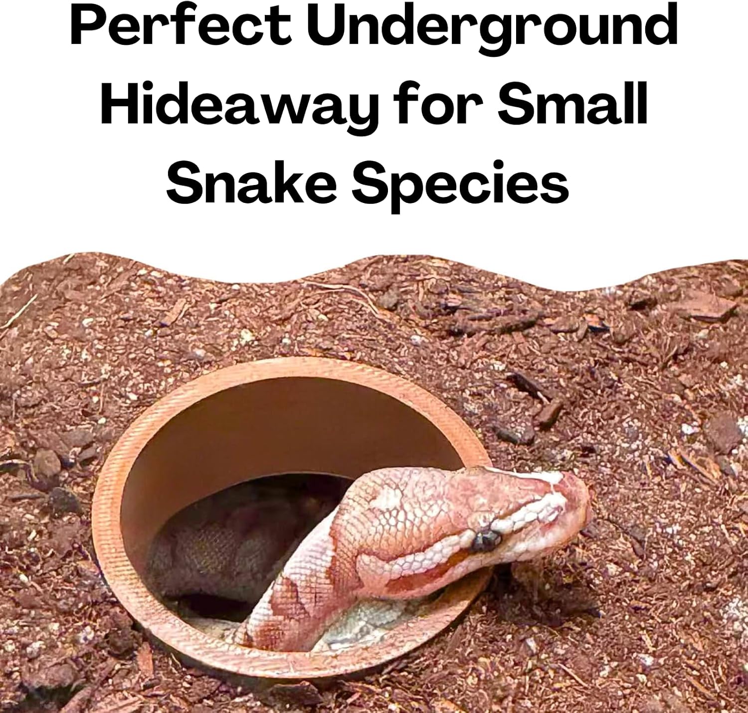 Reptile Corner Underground Cave Viewing Hide | Hognose Snake, Corn Snake & Leopard Gecko Hideout Reptile Habitat Tank Enrichment | Decor Decoration Accessories Supplies Toys Ornaments - Image 5