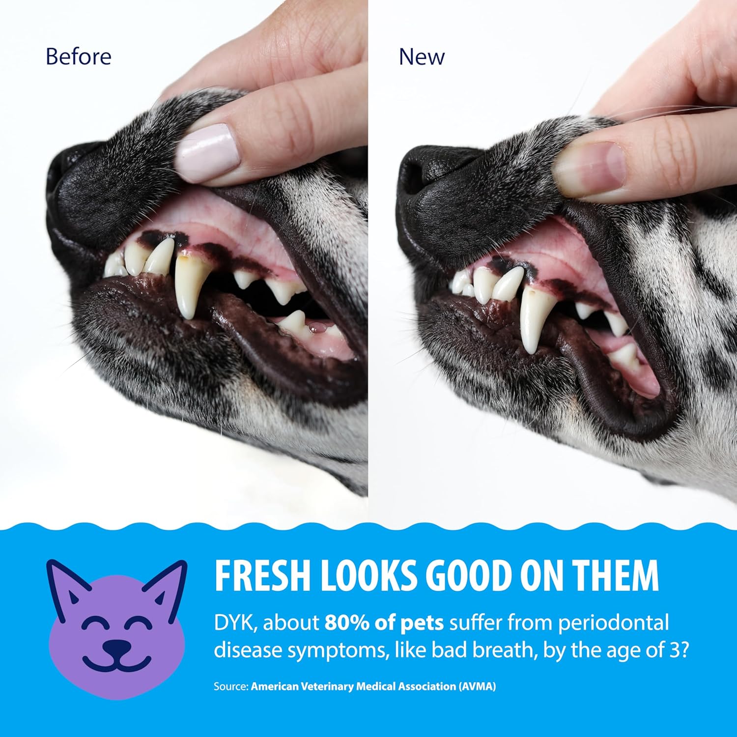 Dental Fresh – Advanced Plaque & Tartar Support Water Additive for Dogs & Cats – Helps Freshen Breath and Clean Teeth Without Brushing – 17 fl oz - Image 4