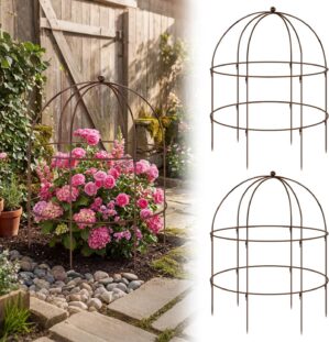2 pcs 20-1/4″ x 26″ H B...