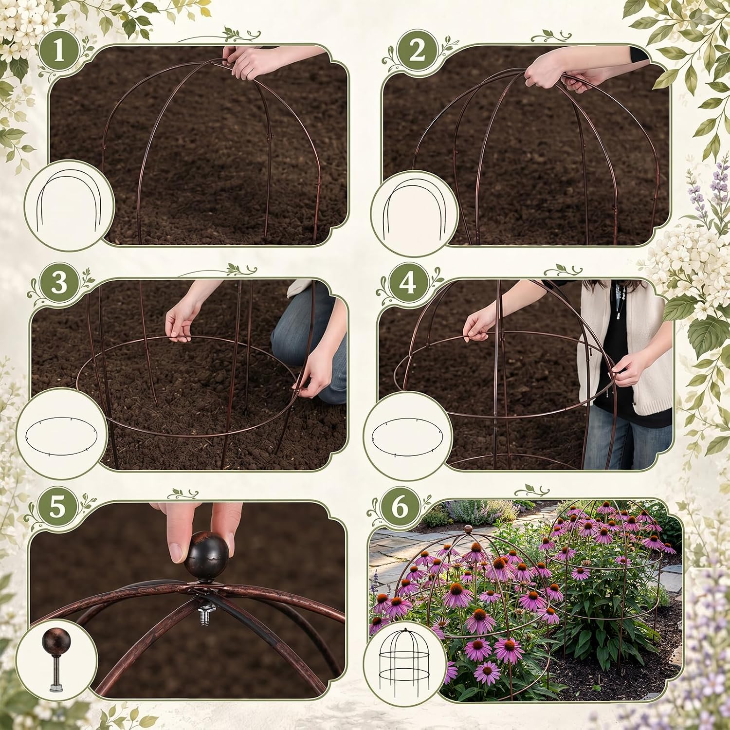 2 pcs 20-1/4" x 26" H Bronze Bird Cage Plant Support Heavy Duty Metal Bird Cage Plant Support Large Outdoor Garden Trellis for Peonies, Baptisia, Sedum & Other Perennials - Image 4