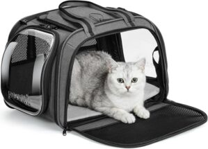 Pecute Cat Carrier with Bubble Wind...