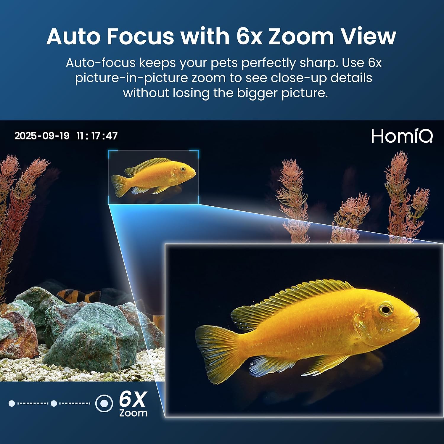 3MP 2K Aquarium & Terrarium Pet Camera.Install &Close-Focus Lens for Fish,Lizard, Reptile Pet and Window Bird Feeder,2.4GHz & 5GHz WiFi,Auto-Focus,24/7 Recording - Image 3
