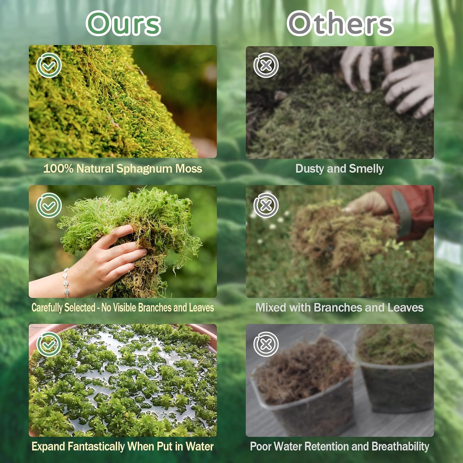 Riare 25QT Natural Sphagnum Moss for Reptiles 1.1LB Terrarium Reptiles Moss | Dried Terrarium Moss Bedding for Snakes Turtles Frogs Geckos Ball Pythons Lepard Gecko Lizards Bearded Dragon & Humid Hides - Image 4
