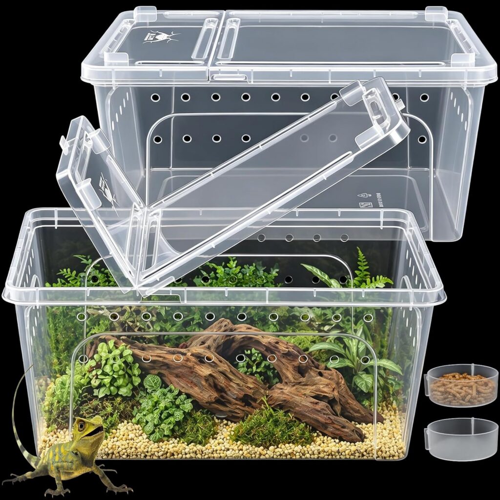 Reptile Terrariums